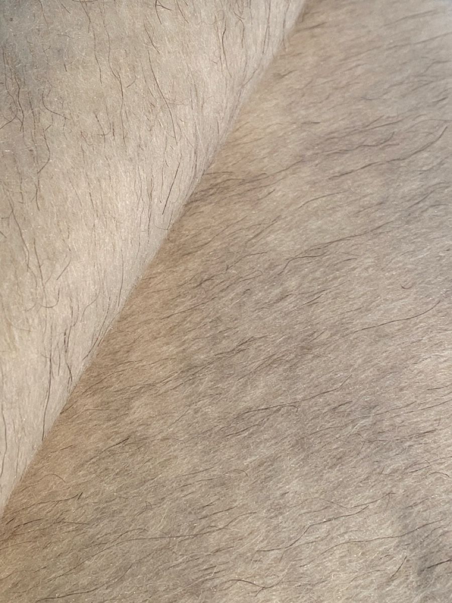 Tessuti: Stoff Wollgemisch natur ca. 60x145cm  – Nuovo (secondo la descrizione) da Flawil venduto da sonnengeist 3