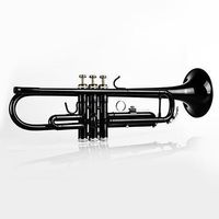 Trompete Standard Bb Messing Instrumente Anfänger Trompete