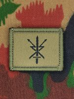 Funktionsabzeichen Führungsstaffelsoldat, Variante 4