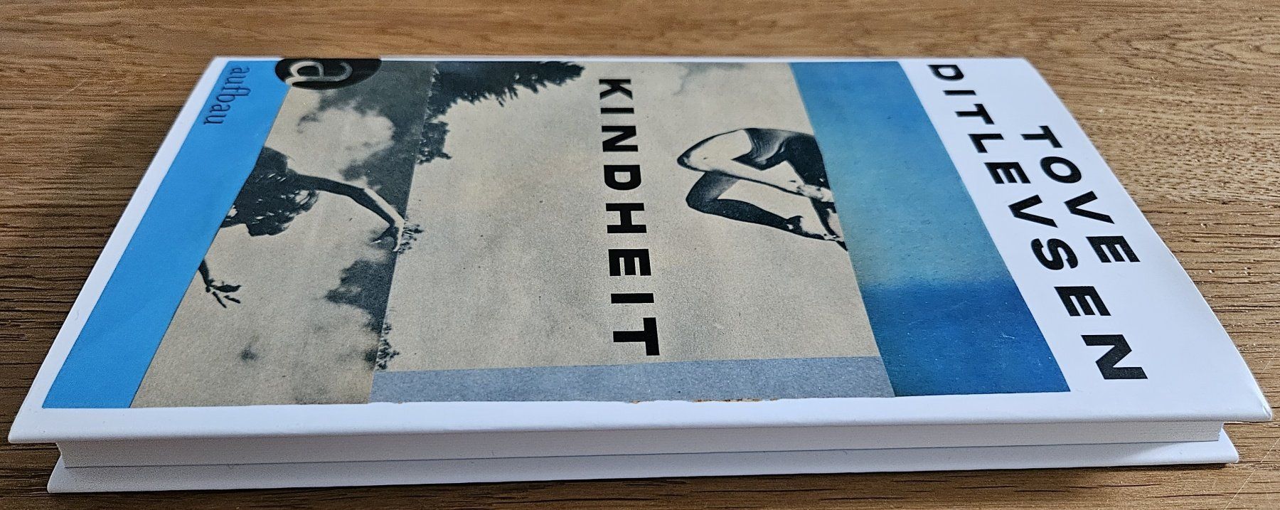 Libri: Tove Ditlevsen: Kindheit – Usato da Schaffhausen venduto da asyouwestley 3