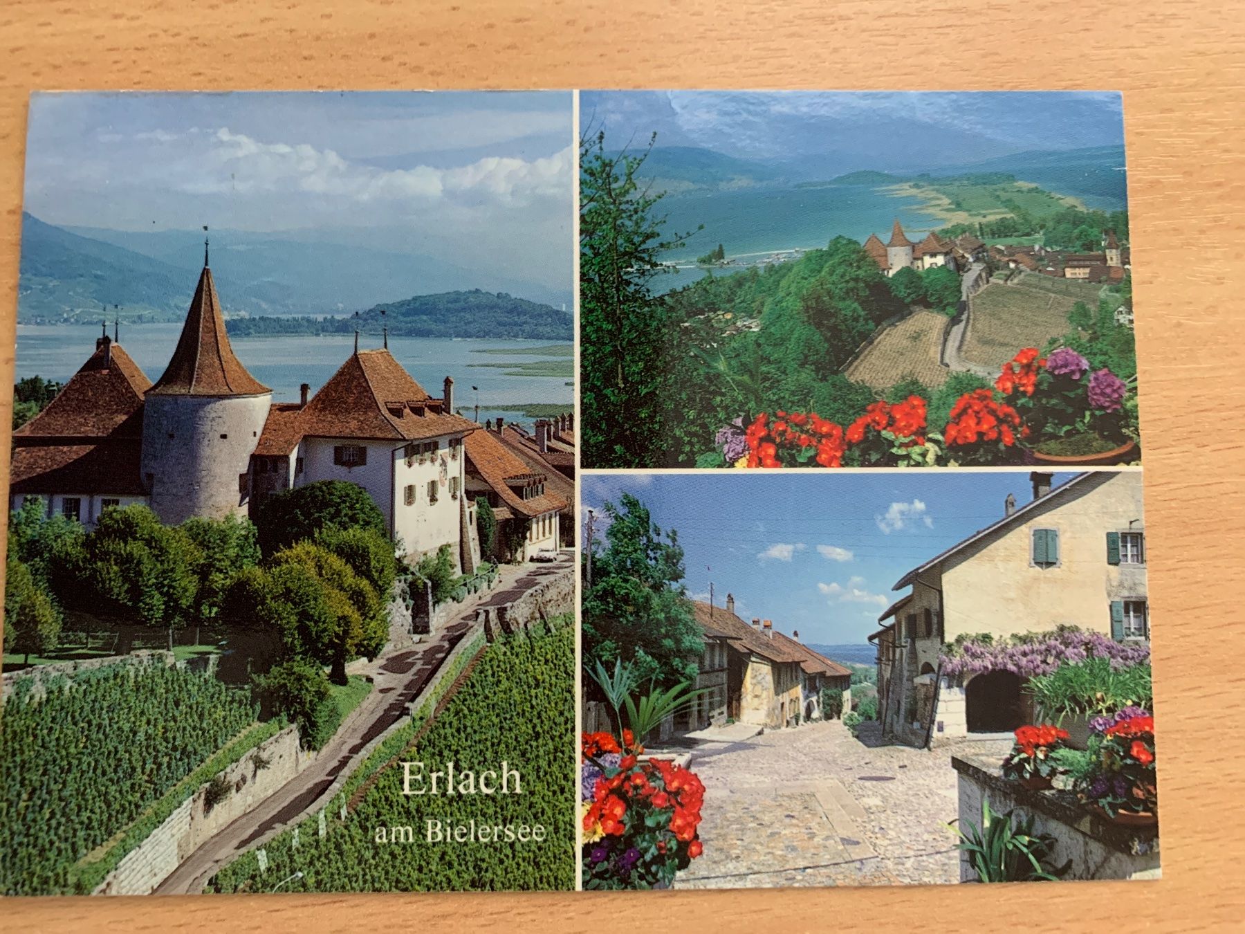 Cartoline postali: ANTIKE ANSICHTSKARTE ERLACH AM BIELERSEE********** – Usato da Ibach venduto da lisch3
