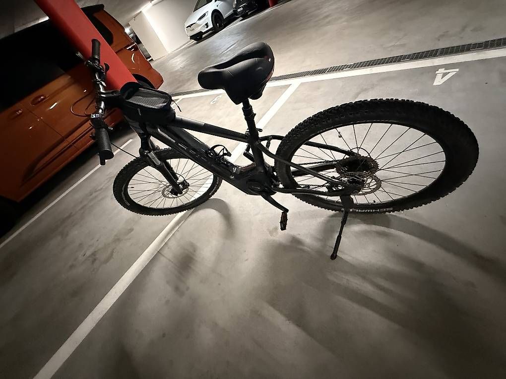 Biciclette: Cube E-Mountainbike  Bosch Performance Line CX mit 2 Akkus  – Usato da Kreuzlingen venduto da 1992m 2