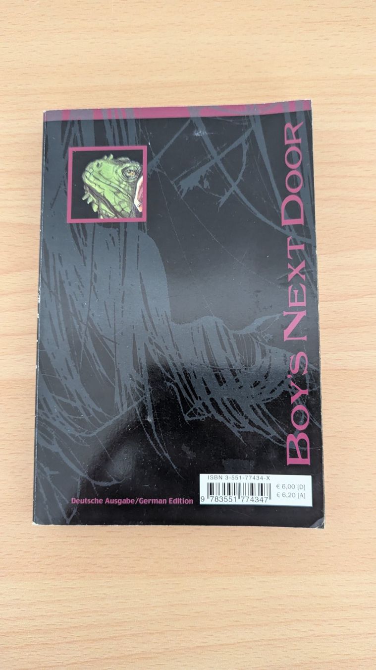Fumetti: Boys Next Door – Usato da Rudolfstetten venduto da Unaaffchen 1
