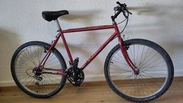 Classic 1980's mountain bike