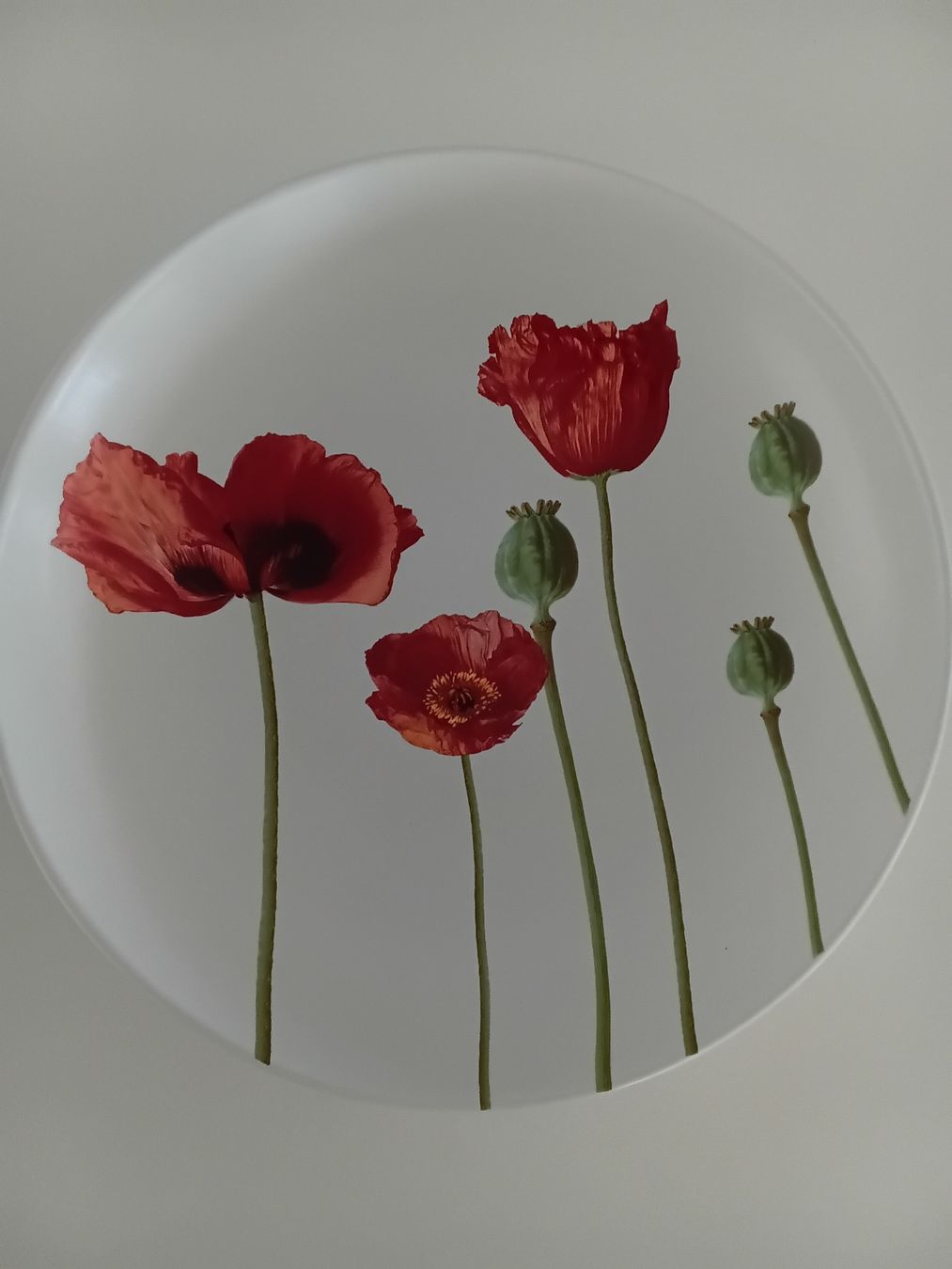 Piatti di portata: Decorative Plate with Poppies, ceramic, Diameter 37cm x 6cm  – Usato da Immensee venduto da vgitter 3