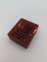 Aloe Vera Blätter Eckig Cranberry