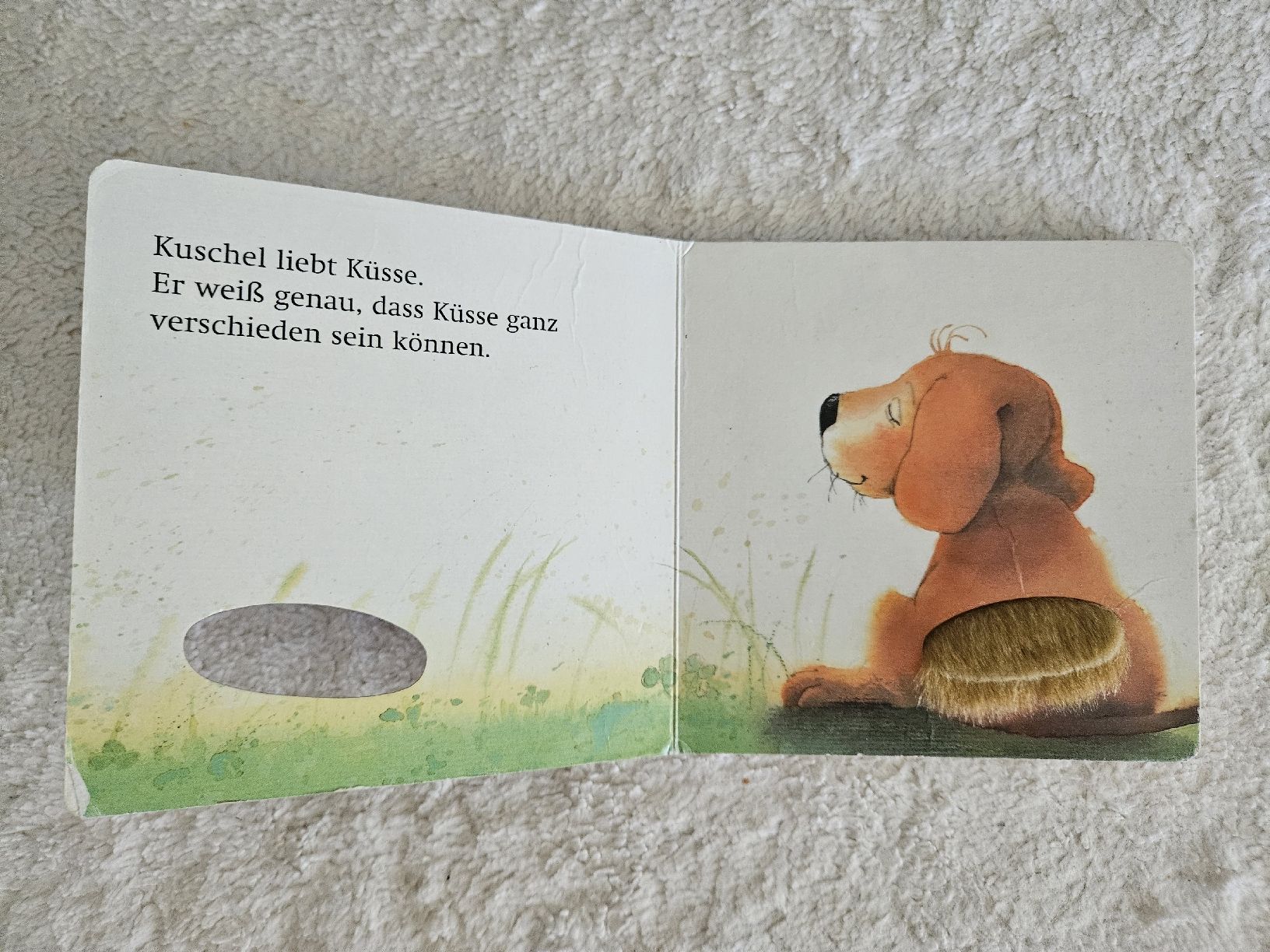 Libri: Baby Fühlbuch "Noch ein Kuss" – Usato da Zürich venduto da Kris8050 2