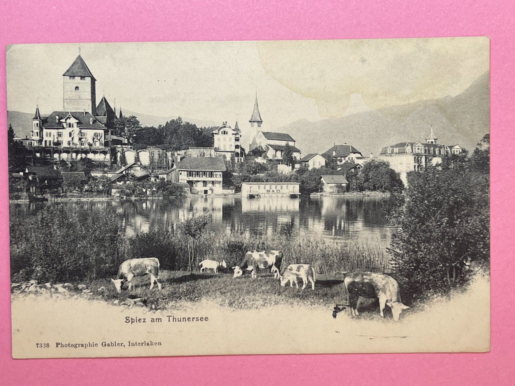 Cartoline postali: Spiez am Thunersee – Usato da Steg VS venduto da danwer74