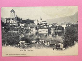 Spiez am Thunersee