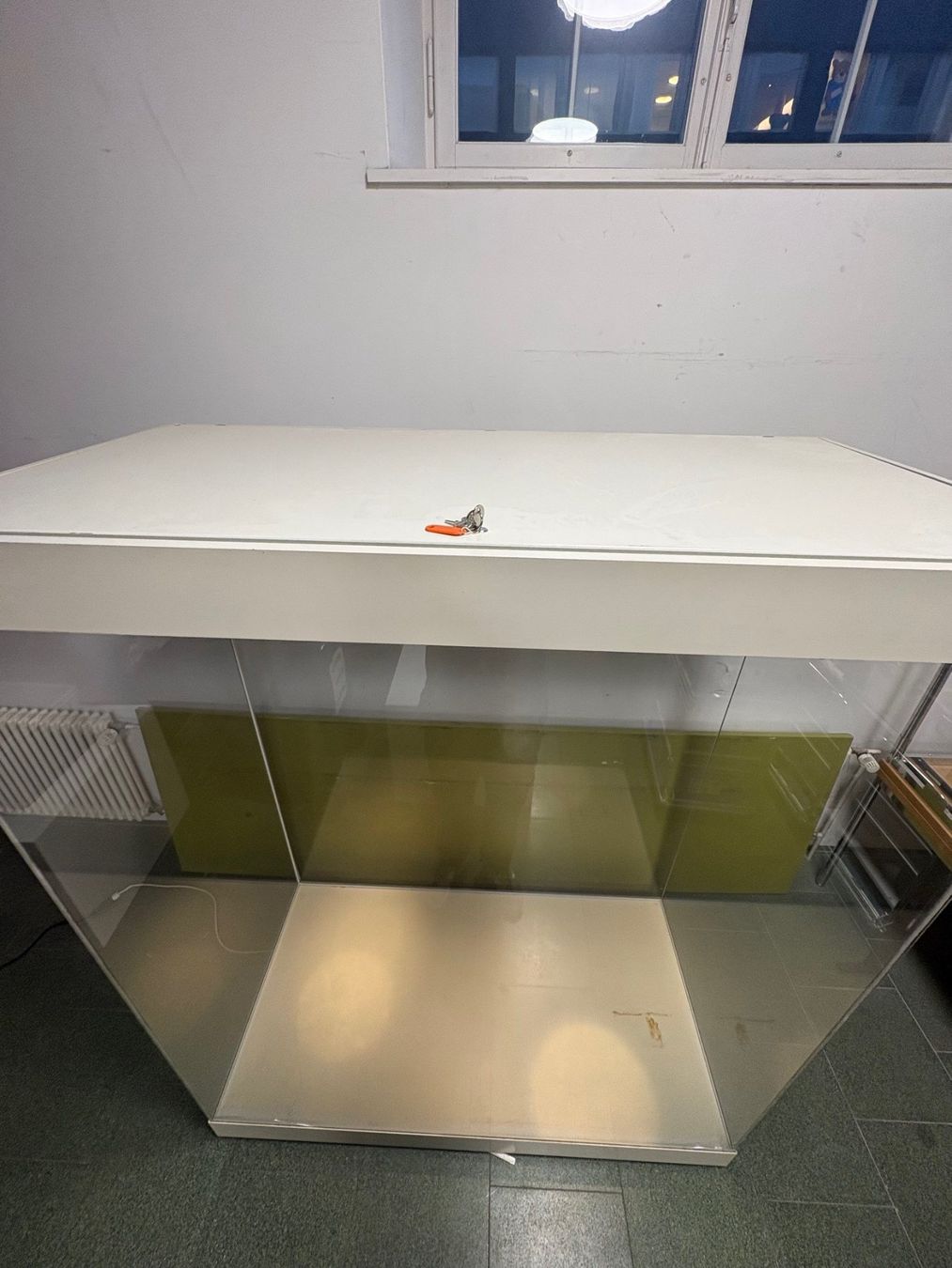 Vetrine: Vitrine mit Glas VSG, abschliessbar – Usato da Aarau venduto da Naturama_Aargau 4