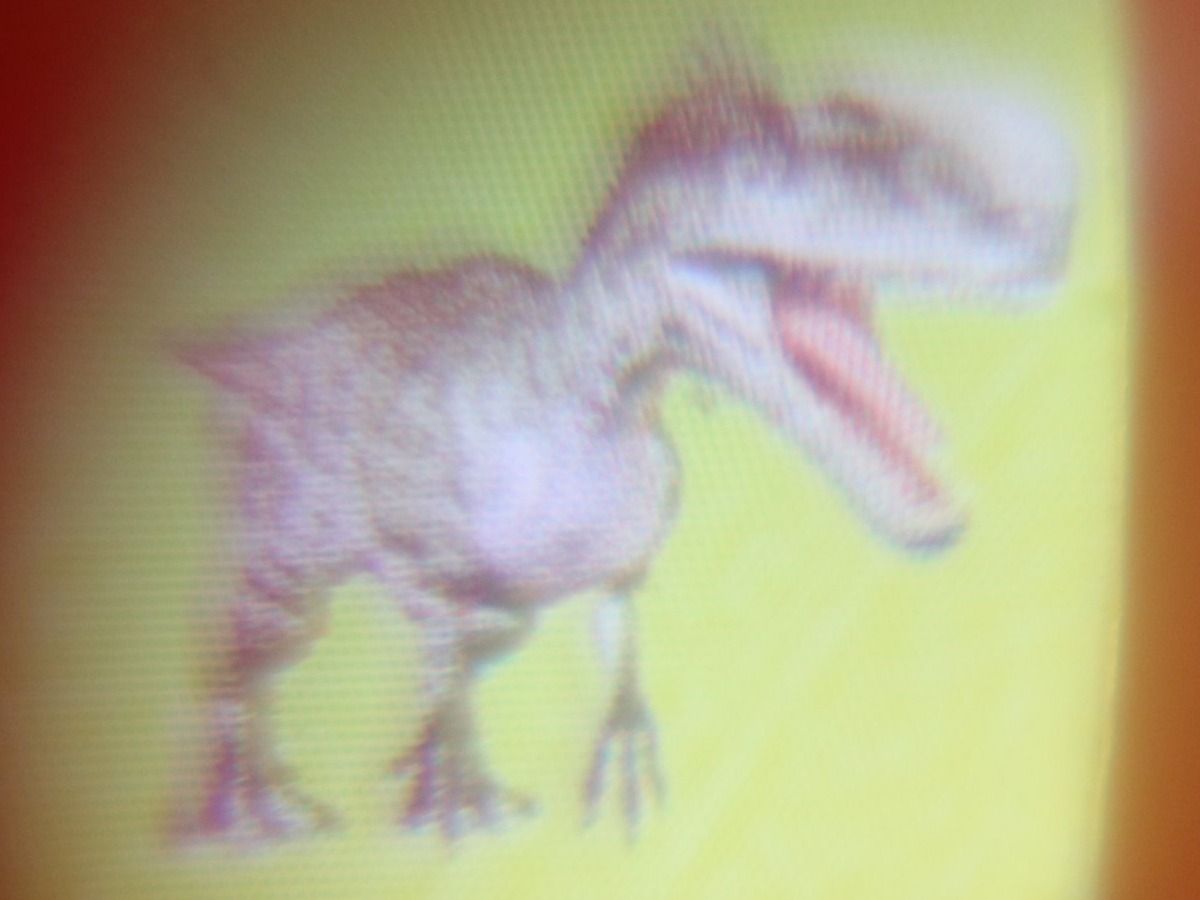 Giocattoli: Dinosaurier Bildbetrachter 2D – Nuovo e nell'imballaggio originale da Eschenbach SG venduto da Astalavista 6