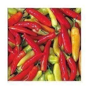 Pflanzen & Samen: Piment Fort 'Agi Crystal' 10g – Neu (gemäss Beschreibung) aus Bremblens von FIBONACCI369 1