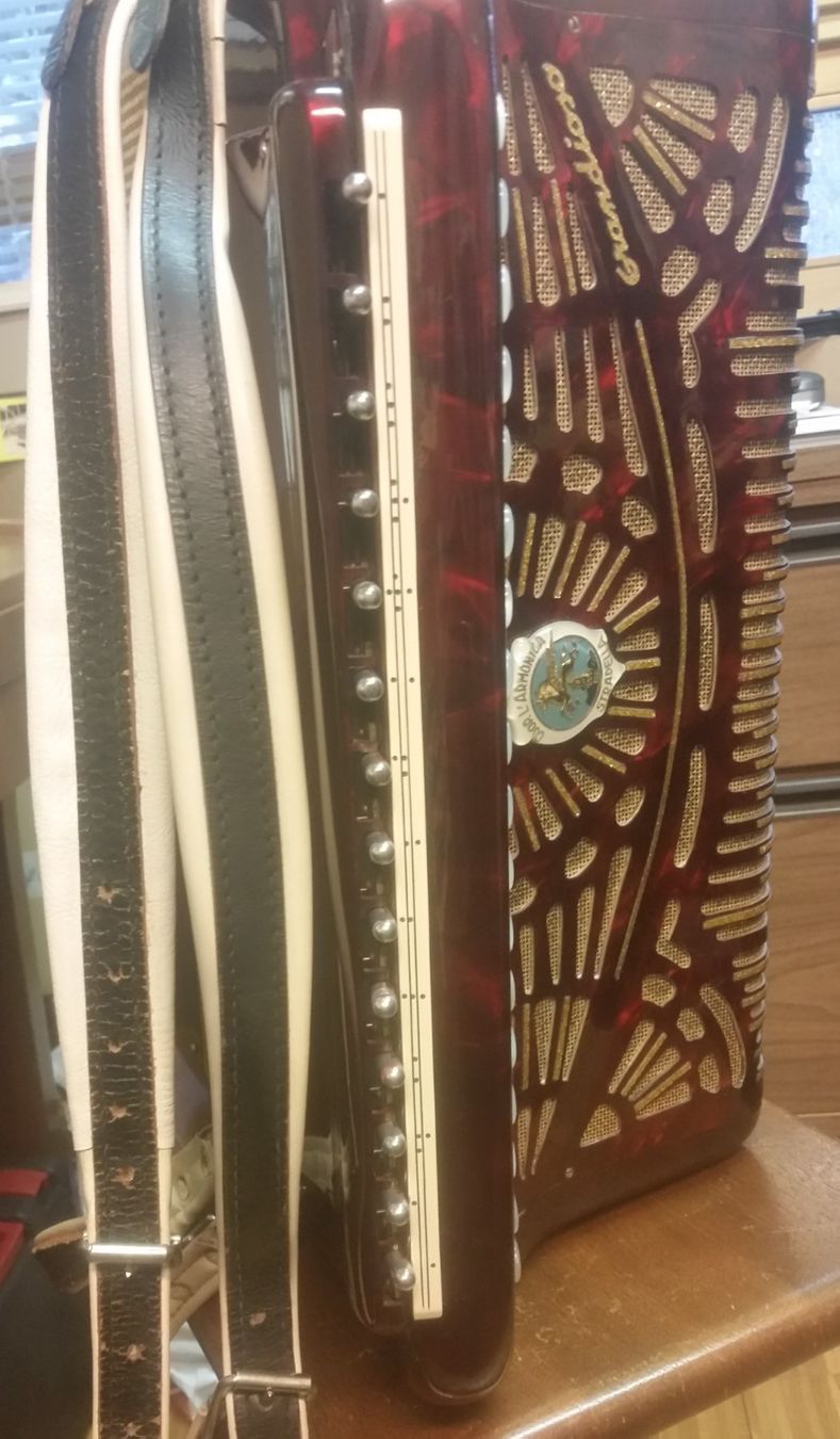 Record Strumenti musicali: Akkordeon Record Grandioso inkl. Koffer – Usato da Zäziwil venduto da StouniiThe17th 3