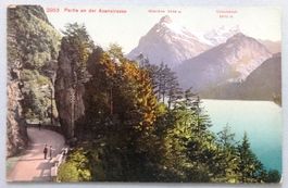 Partie an der Axenstrasse
