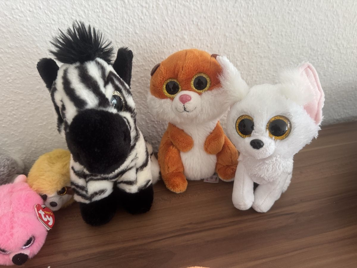 Ty Giocattoli: Kuscheltier mit Glitzer Augen Ty – Usato da Pfeffingen venduto da hai_9k7w