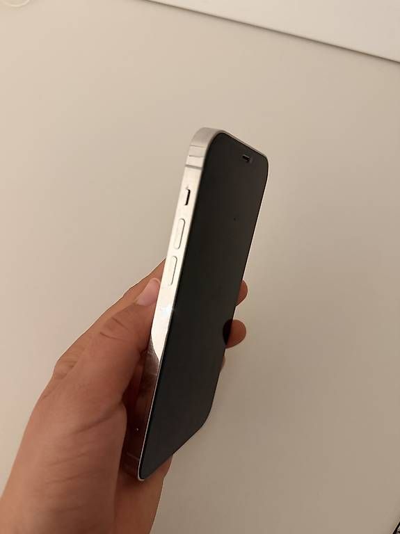 Telefoni cellulari / Smartphones: Iphone 12 pro, 256 GB – Usato da Degersheim venduto da Sarasaralein 1
