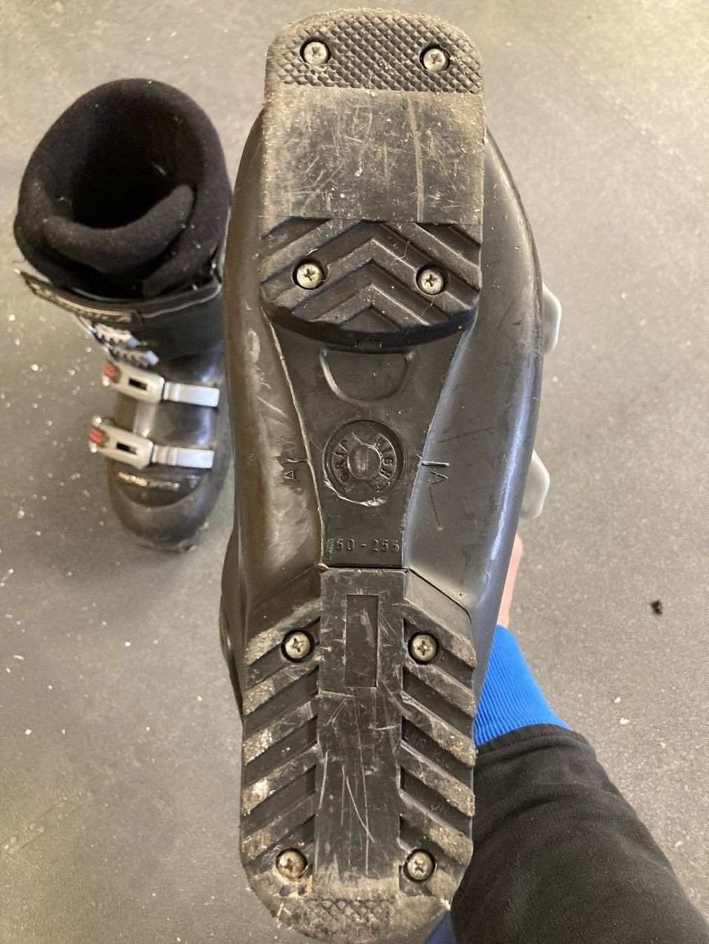 Nordica Herrenschuhe: Skischuh Nordica 39 – Gebraucht aus Niederscherli von ypsilon315 2