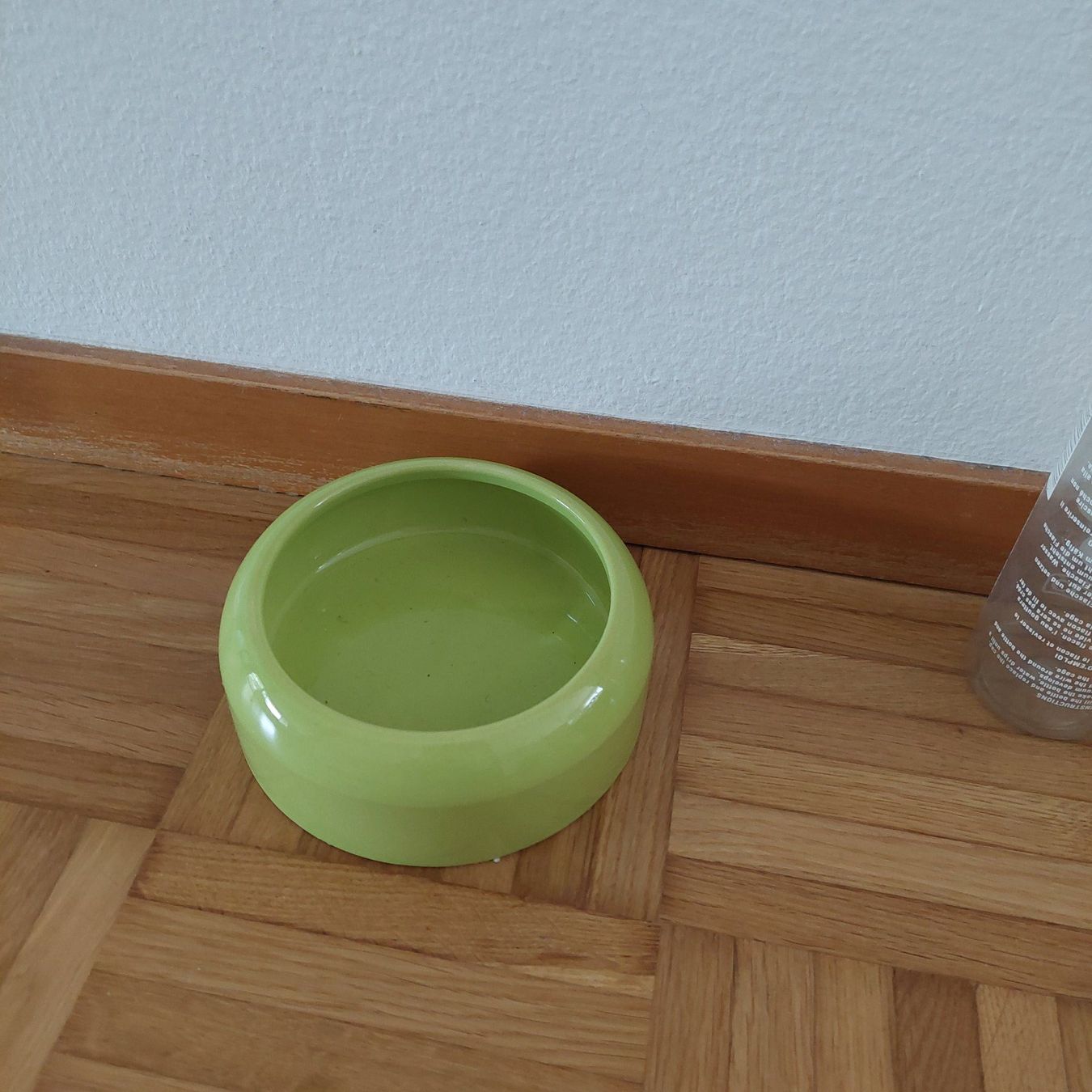 Gabbie, trasporto & Sicurezza: Meerschweinschenzubehör – Usato da Oberweningen venduto da bonpari 1