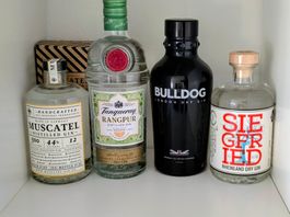 Tanqueray Rangpur, Siegfried, Bulldog, Muscatel Gin