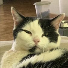 Profile image of AnduB8