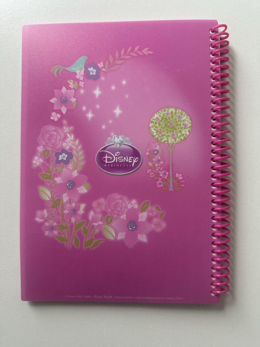 Schreibblöcke: Notizbuch, Schreibheft Prinzessin – Neu und originalverpackt aus Uetendorf von Gar_9pvy 2
