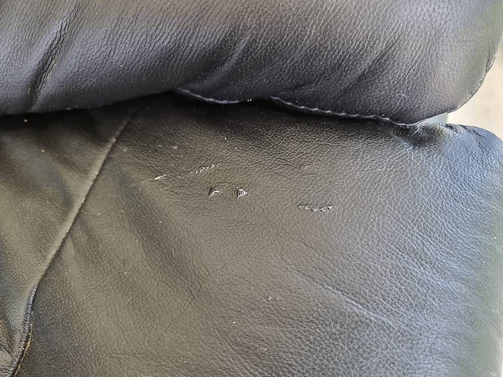 Divani: Ledersofa – Usato da Gais venduto da Squashi82 1