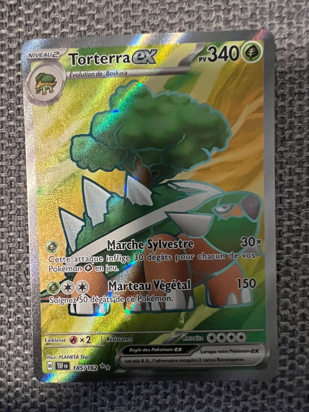 Pokémon Cartes à collectionner: Pokémon Forces temporelles: Torterra Ex 185/162 FR – Neuf (Voir description) à Palézieux-Village par oufoux08