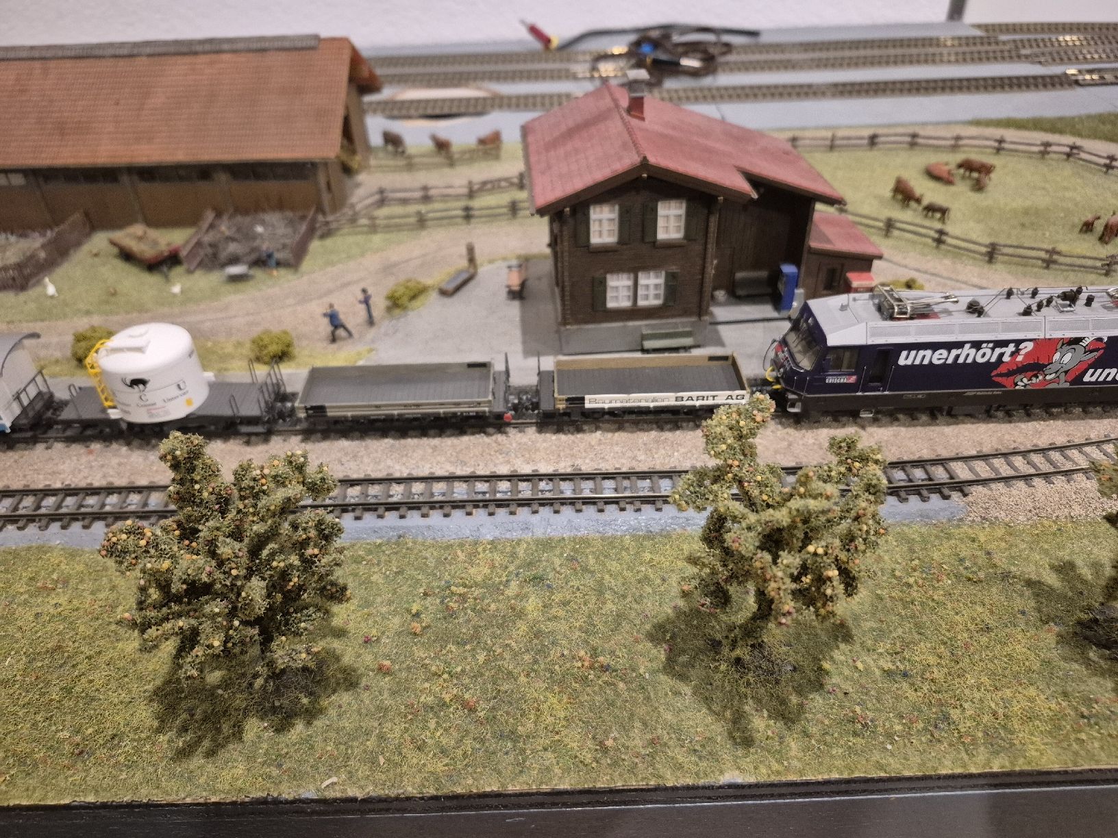 Bemo Modellini di ferrovie: Bemo RhB Güterzug – Usato da Uttigen venduto da Orbrick 3