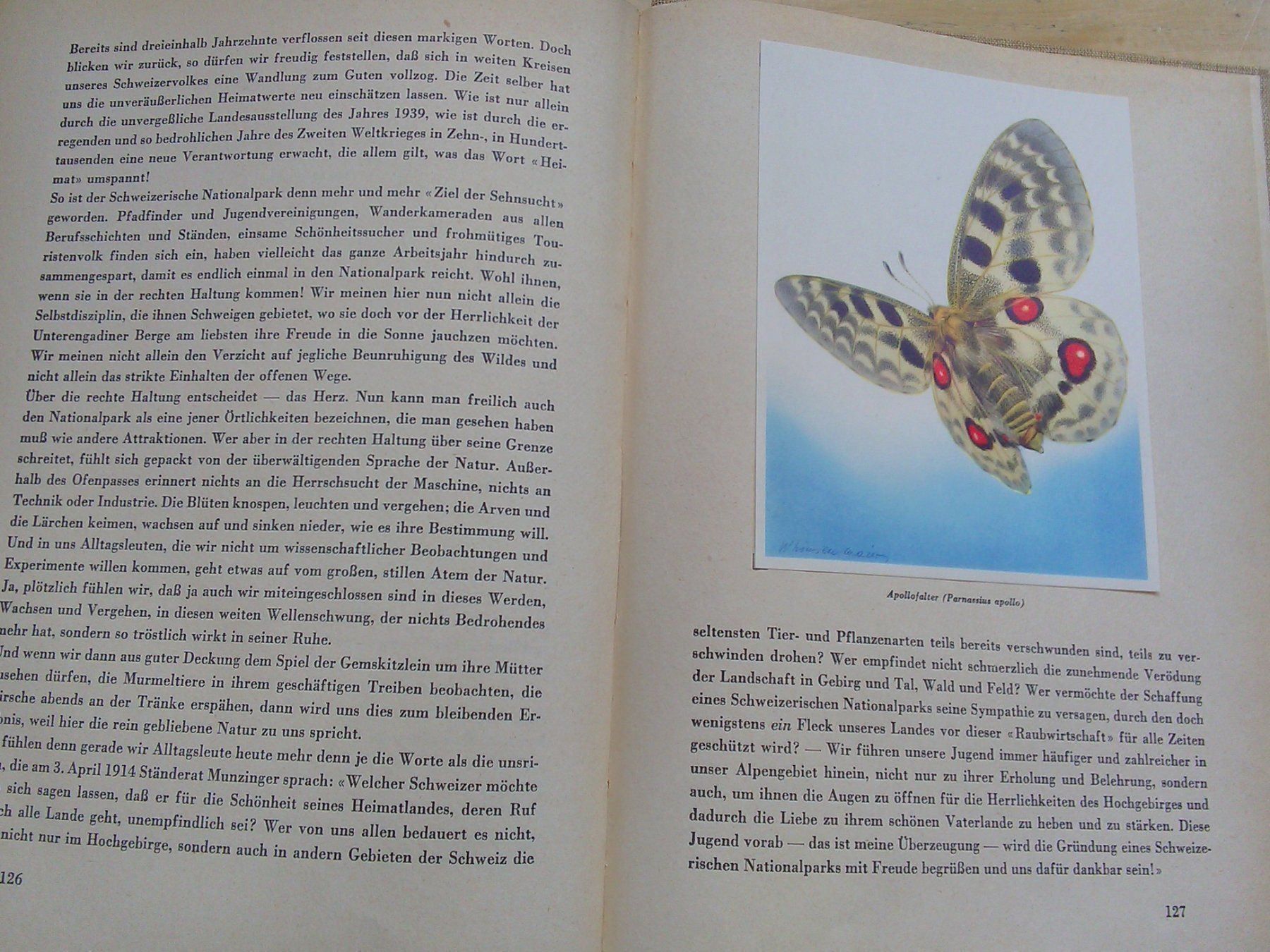 Libri: Der Schweizerische Nationslpark (1949) – Usato da St. Gallen venduto da elkapone 8
