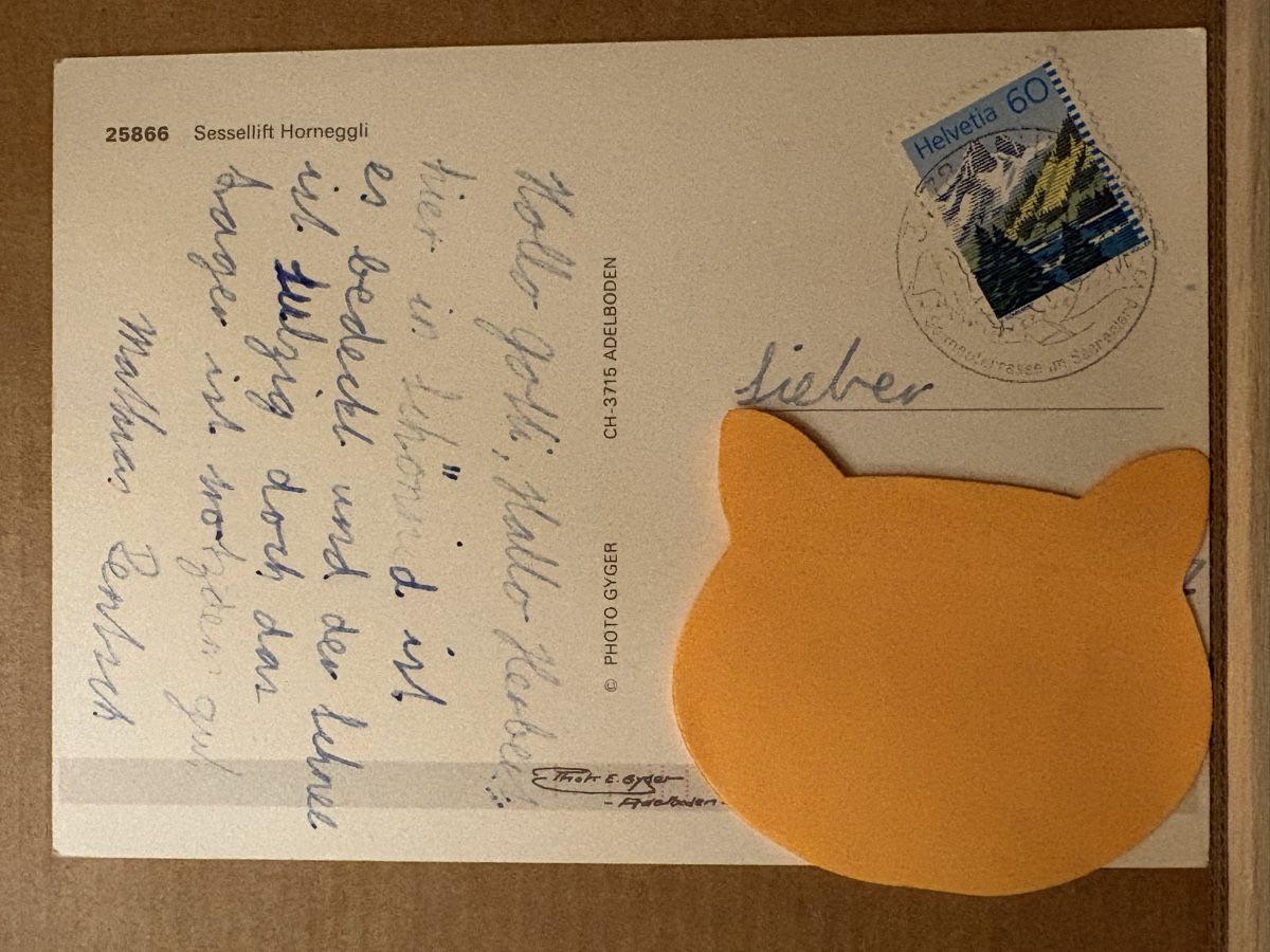 Cartoline postali: AK von Schönried Horneggli – Usato da Rümlang venduto da Kartenpost1 1