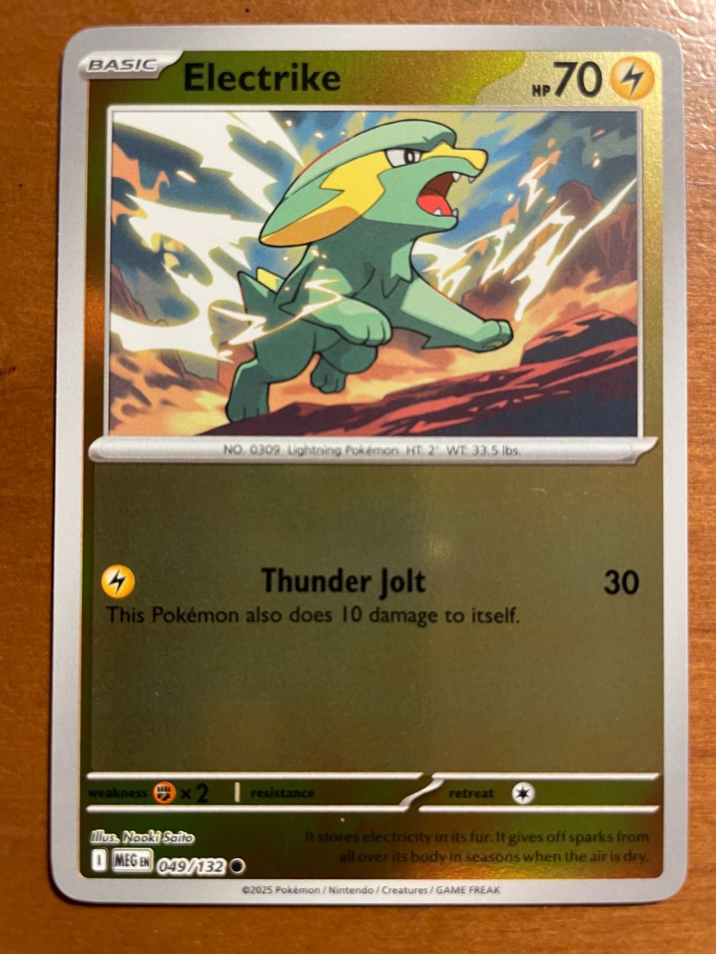 Pokémon Carte collezionabili: Pokemon Electrike Reverse (Versand gratis) – Nuovo (secondo la descrizione) da Chur venduto da Angerson