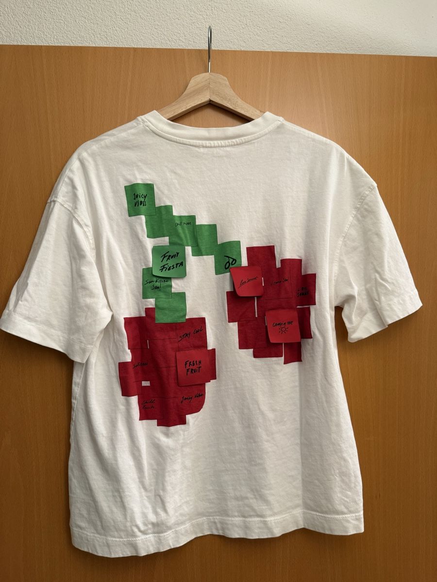 Zara T-Shirts: T-shirt Grösse S – Neu (gemäss Beschreibung) aus Mörschwil von Seegurke18