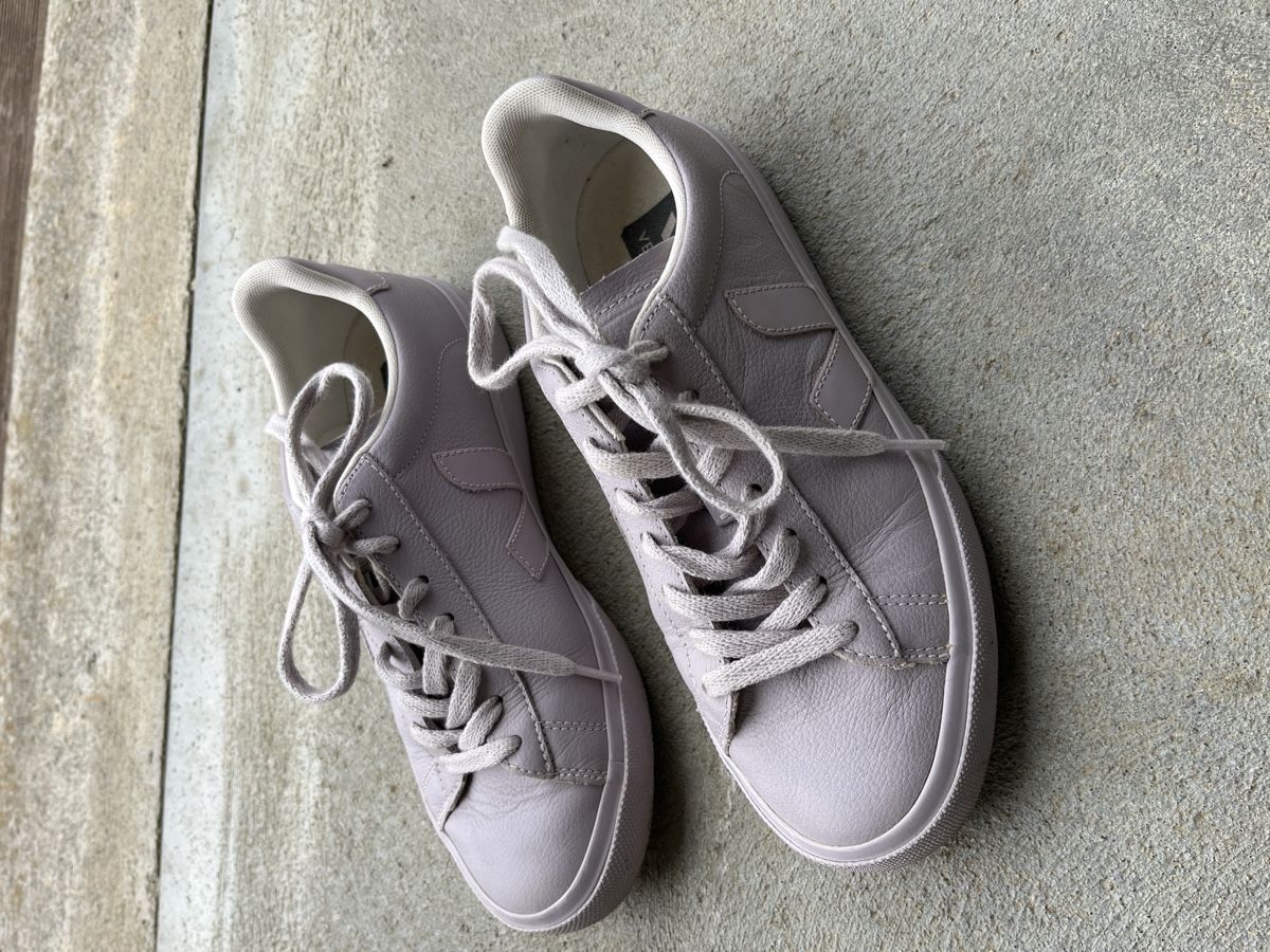 Veja Damenschuhe: Veja Sneakers – Gebraucht aus Biberstein von Enidan5000