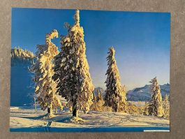 Original Vintage Poster - 10 Bilder Winterzauber