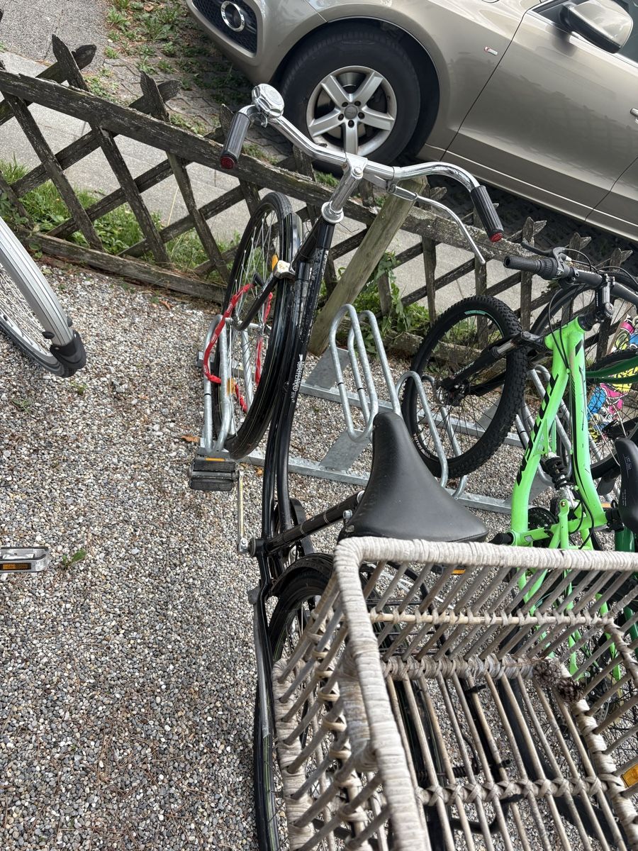 Puch Biciclette: Waffenrad Puch – Usato da Heerbrugg venduto da saryingo 2