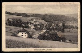 AK Richenthal /Luzern, Ort mit Kirche und Feldern