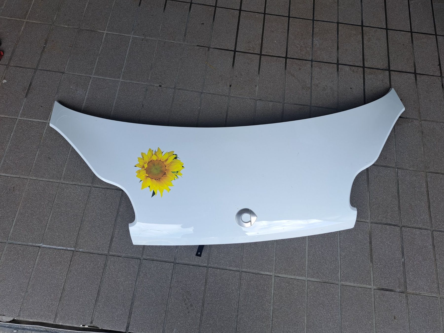 Smart Toutes les pièces auto: Motorhaube smart for two typ 451 – D'occasion à Holziken par Lenz-Driver 1