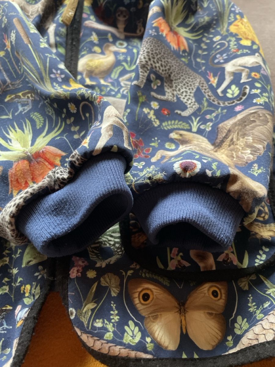 Molo Giacche: Softshelljacke Molo – Usato da Teufen AR venduto da Kristallina 1
