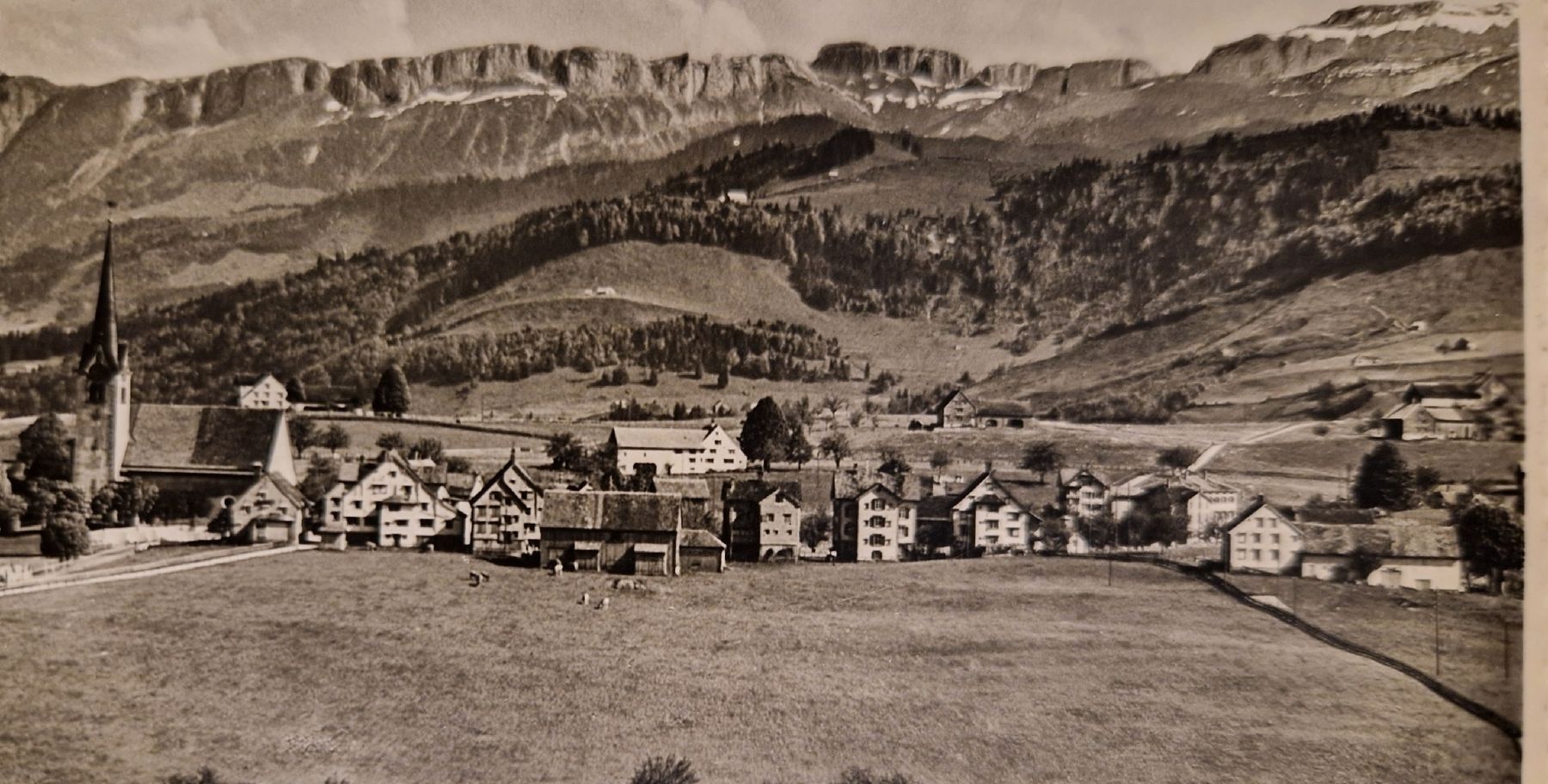 Cartoline postali: Luftkurort Stein mit Alpstein 1953 – Usato da Ebikon venduto da Donar50 1