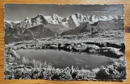 Seeli mit Blick auf die Berner Hochalpen