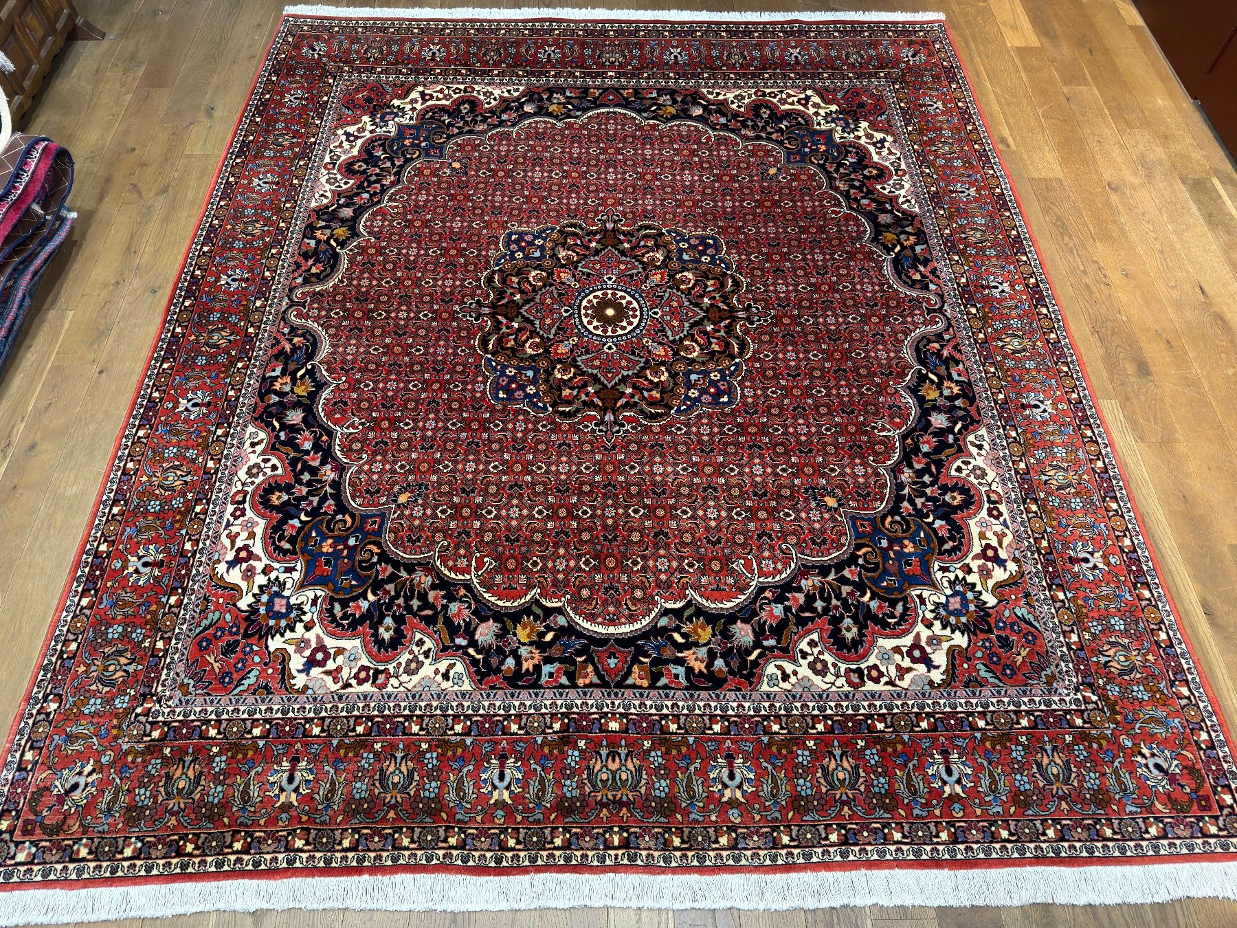 Bidjar Tappeti: Exklusiver Robuster Bidjar Perserteppich - handgeknüpft – Usato da Bennau venduto da Mayer_Carpets