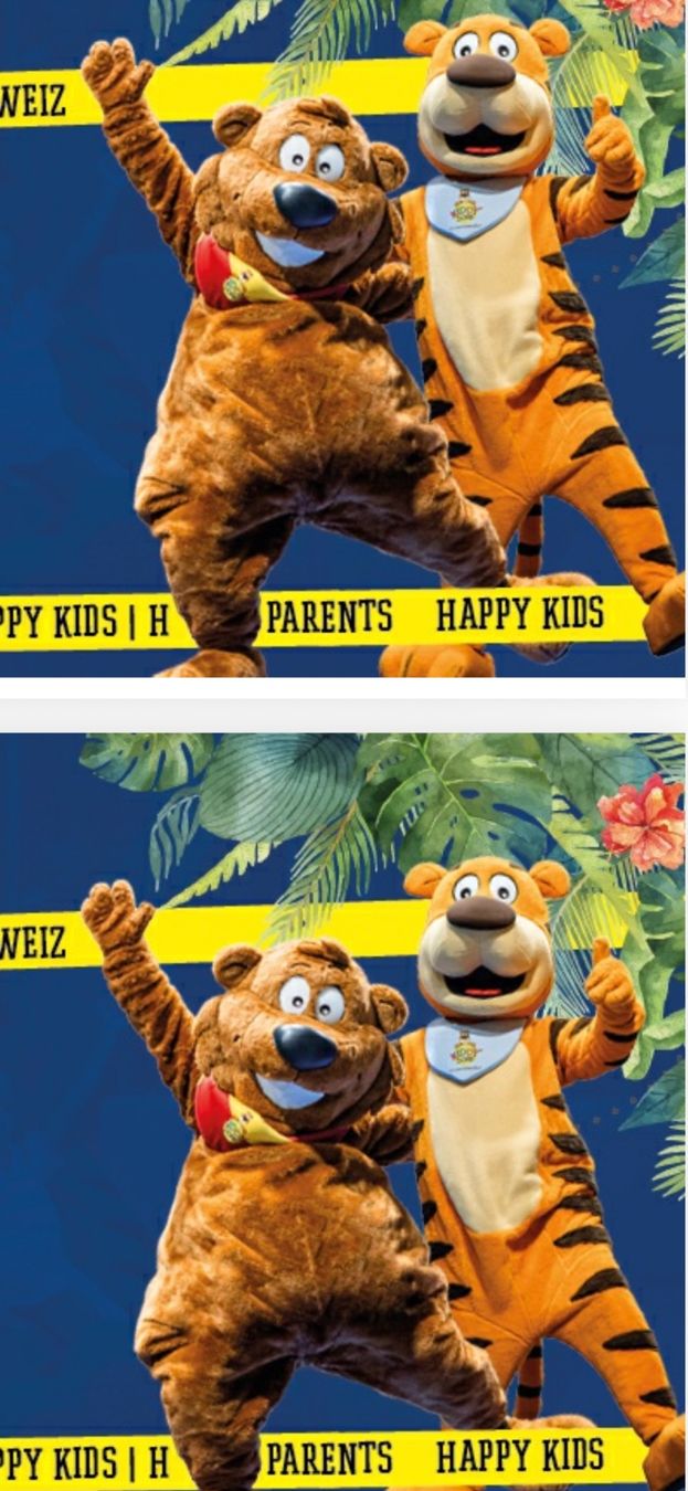 Tickets: Kiddy Dome Ticket – Neu (gemäss Beschreibung) aus Moosseedorf von SDmedia