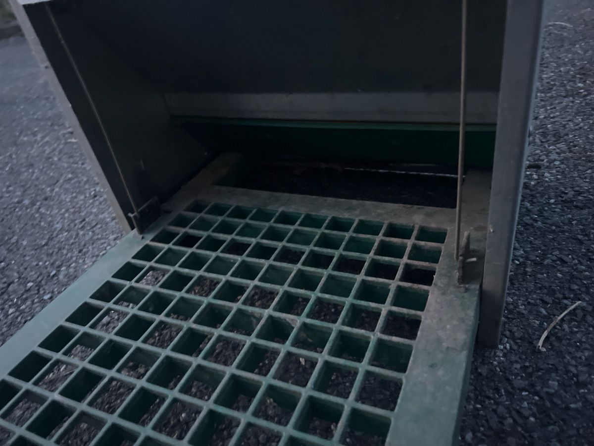 Mangimi: Futterautomat Metall Kunststoff  – Usato da Biglen venduto da Giorgio4 2