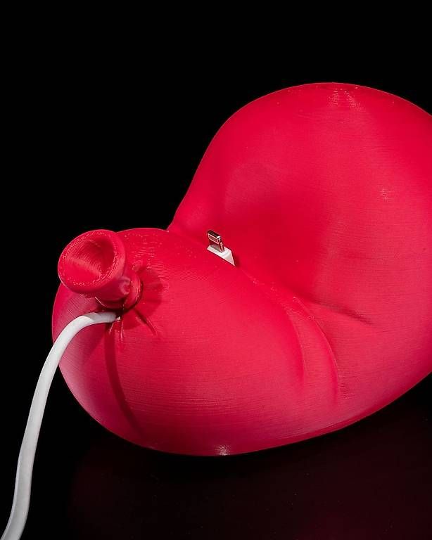 Supporti a parete: After Party Phone Holder – Usato da Mauren venduto da Denise.Alfredo 3