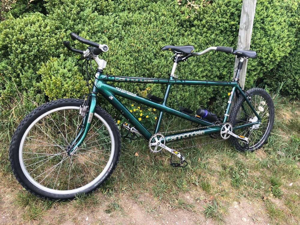 Cannondale best sale mt1000 tandem