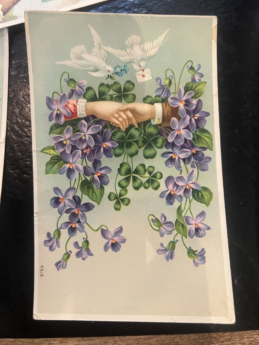 Ansichtskarten: 5 alte Ansichtskarten  Blumenmotiv Tauben antik – Gebraucht aus Laufen von Belezza 3