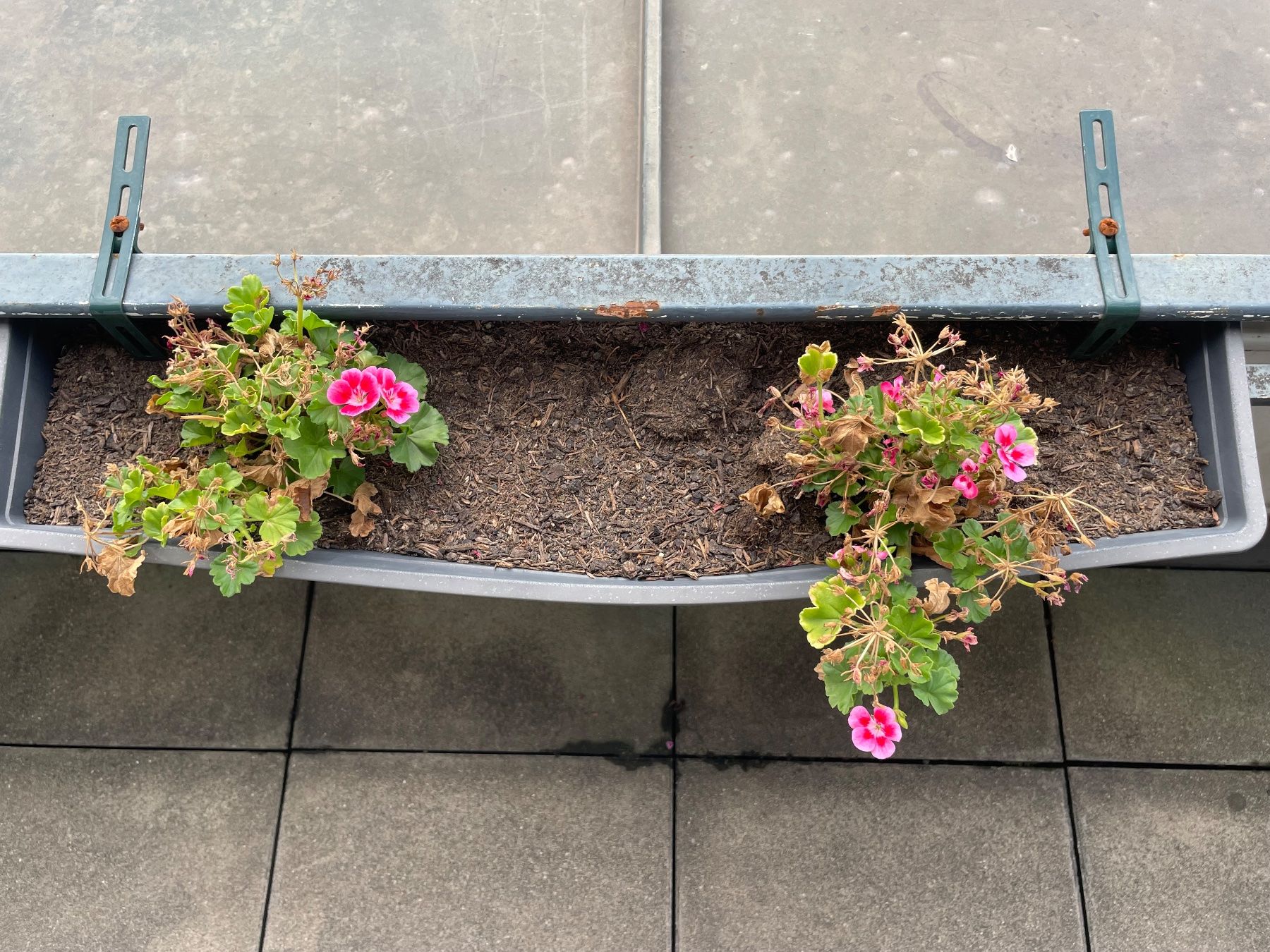 Blumentöpfe: 4x Blumenkästen mit Aufhängung – Gebraucht aus Basel von schnudibu 1