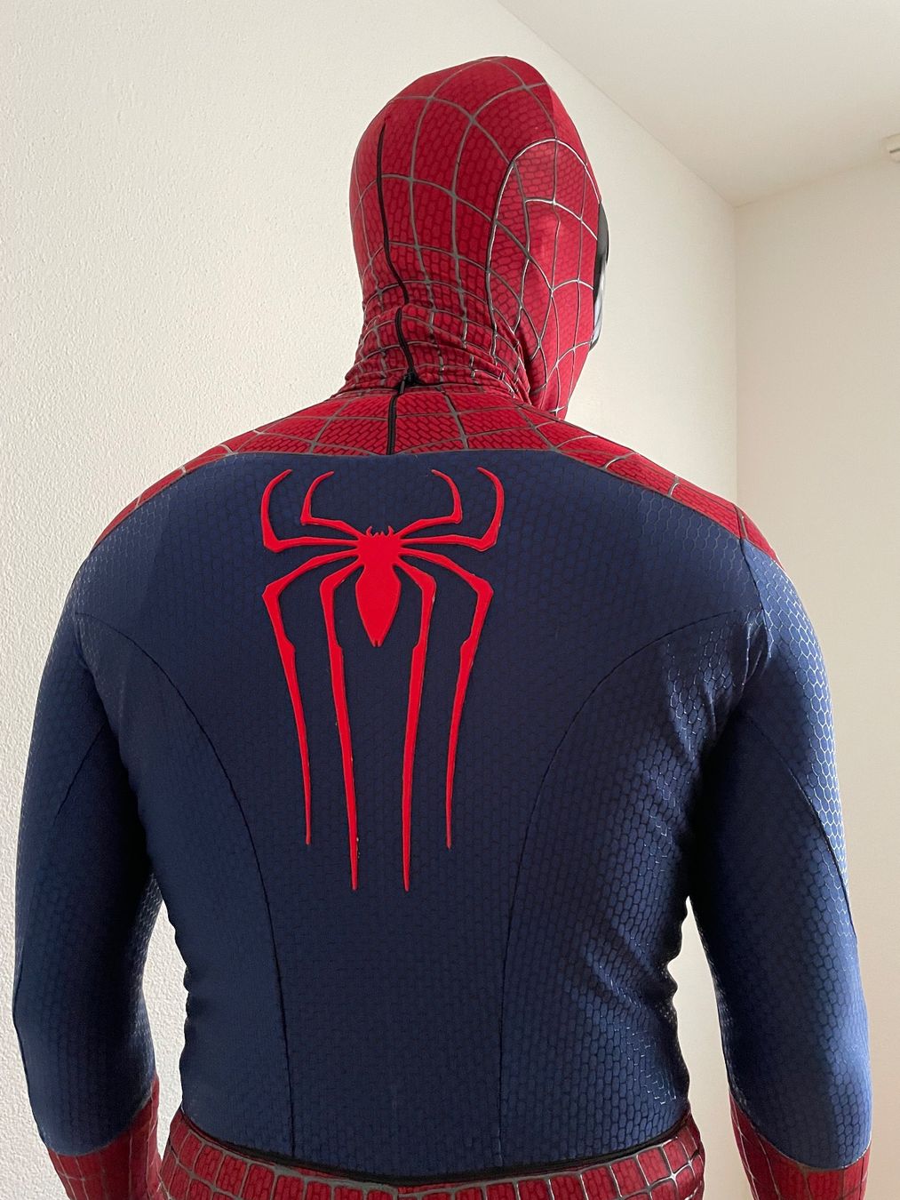 Costumi: SPIDERMAN COSPLAY MOVIE KOSTÜM COMICS DC MARVEL – Usato da Rain venduto da JerseyLegends 2