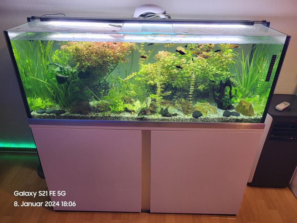 Aquarium 325Liter Komplett mit allem ohne Filter Kaufen auf Ricardo