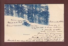 WINTERSPORT - 1900